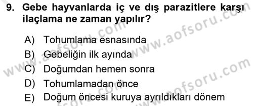 Doğum Bilgisi ve Suni Tohumlama Dersi 2018 - 2019 Yılı (Final) Dönem Sonu Sınavı 9. Soru