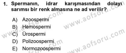 Doğum Bilgisi ve Suni Tohumlama Dersi 2018 - 2019 Yılı Yaz Okulu Sınav Soruları 1. Soru