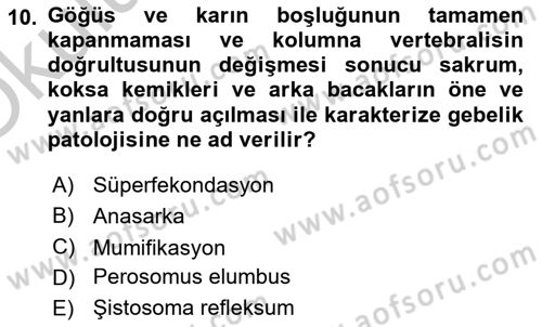 Doğum Bilgisi ve Suni Tohumlama Dersi 2018 - 2019 Yılı Yaz Okulu Sınav Soruları 10. Soru