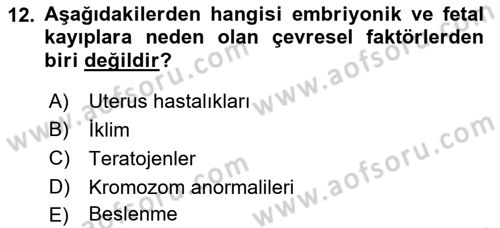 Doğum Bilgisi ve Suni Tohumlama Dersi 2018 - 2019 Yılı Yaz Okulu Sınav Soruları 12. Soru