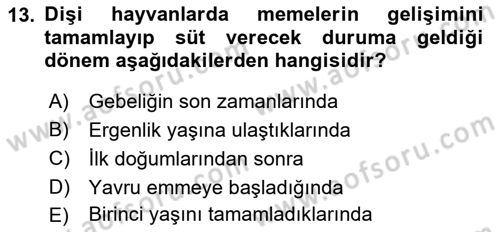 Doğum Bilgisi ve Suni Tohumlama Dersi 2018 - 2019 Yılı Yaz Okulu Sınav Soruları 13. Soru