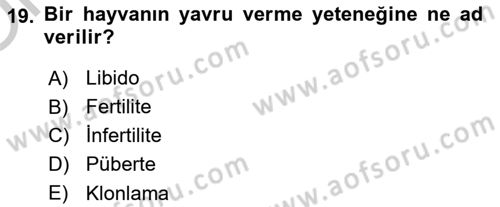 Doğum Bilgisi ve Suni Tohumlama Dersi 2018 - 2019 Yılı Yaz Okulu Sınav Soruları 19. Soru