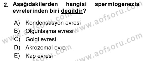 Doğum Bilgisi ve Suni Tohumlama Dersi 2018 - 2019 Yılı Yaz Okulu Sınav Soruları 2. Soru