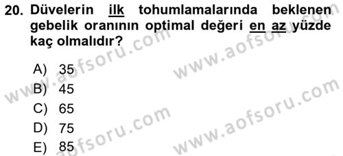 Doğum Bilgisi ve Suni Tohumlama Dersi 2018 - 2019 Yılı Yaz Okulu Sınav Soruları 20. Soru