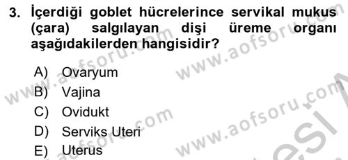 Doğum Bilgisi ve Suni Tohumlama Dersi 2018 - 2019 Yılı Yaz Okulu Sınav Soruları 3. Soru