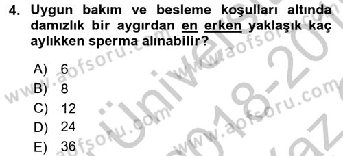 Doğum Bilgisi ve Suni Tohumlama Dersi 2018 - 2019 Yılı Yaz Okulu Sınav Soruları 4. Soru