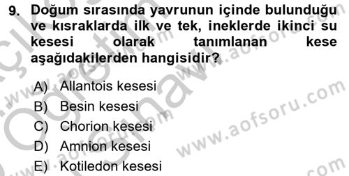 Doğum Bilgisi ve Suni Tohumlama Dersi 2018 - 2019 Yılı Yaz Okulu Sınav Soruları 9. Soru