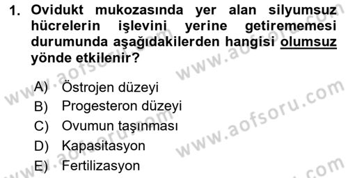 Doğum Bilgisi ve Suni Tohumlama Dersi 2020 - 2021 Yılı Yaz Okulu Sınav Soruları 1. Soru