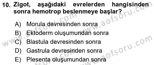 Doğum Bilgisi ve Suni Tohumlama Dersi 2020 - 2021 Yılı Yaz Okulu Sınav Soruları 10. Soru
