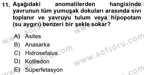 Doğum Bilgisi ve Suni Tohumlama Dersi 2020 - 2021 Yılı Yaz Okulu Sınav Soruları 11. Soru