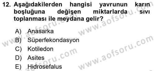 Doğum Bilgisi ve Suni Tohumlama Dersi 2020 - 2021 Yılı Yaz Okulu Sınav Soruları 12. Soru