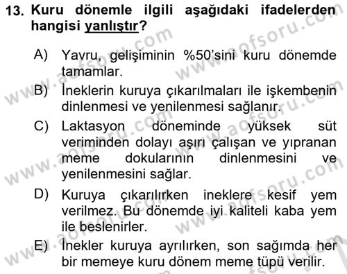 Doğum Bilgisi ve Suni Tohumlama Dersi 2020 - 2021 Yılı Yaz Okulu Sınav Soruları 13. Soru