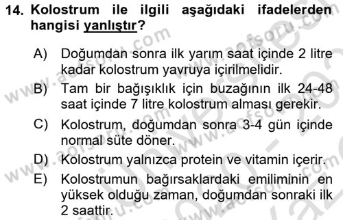 Doğum Bilgisi ve Suni Tohumlama Dersi 2020 - 2021 Yılı Yaz Okulu Sınav Soruları 14. Soru