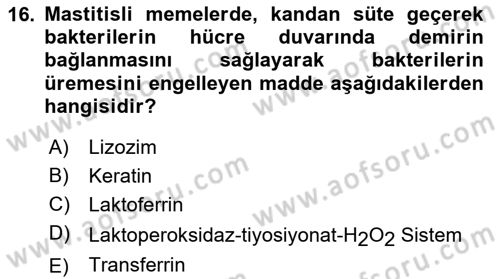 Doğum Bilgisi ve Suni Tohumlama Dersi 2020 - 2021 Yılı Yaz Okulu Sınav Soruları 16. Soru