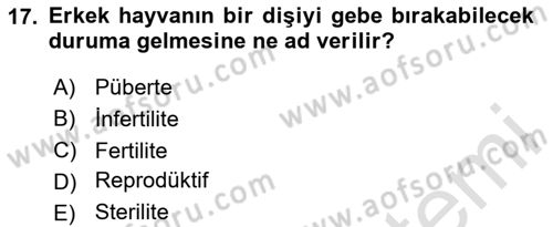 Doğum Bilgisi ve Suni Tohumlama Dersi 2020 - 2021 Yılı Yaz Okulu Sınav Soruları 17. Soru