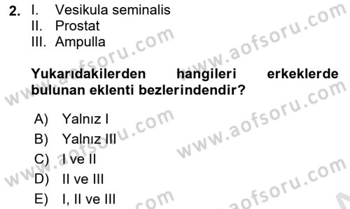 Doğum Bilgisi ve Suni Tohumlama Dersi 2020 - 2021 Yılı Yaz Okulu Sınav Soruları 2. Soru