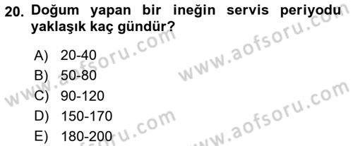 Doğum Bilgisi ve Suni Tohumlama Dersi 2020 - 2021 Yılı Yaz Okulu Sınav Soruları 20. Soru