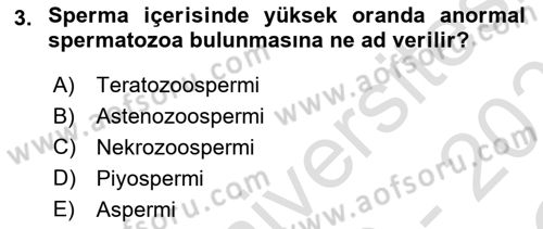 Doğum Bilgisi ve Suni Tohumlama Dersi 2020 - 2021 Yılı Yaz Okulu Sınav Soruları 3. Soru