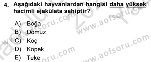 Doğum Bilgisi ve Suni Tohumlama Dersi 2020 - 2021 Yılı Yaz Okulu Sınav Soruları 4. Soru