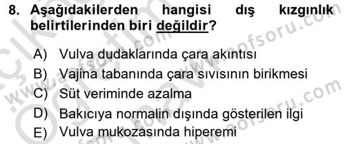 Doğum Bilgisi ve Suni Tohumlama Dersi 2020 - 2021 Yılı Yaz Okulu Sınav Soruları 8. Soru