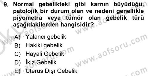 Doğum Bilgisi ve Suni Tohumlama Dersi 2020 - 2021 Yılı Yaz Okulu Sınavı 9. Soru