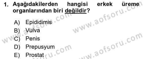 Doğum Bilgisi ve Suni Tohumlama Dersi 2021 - 2022 Yılı (Vize) Ara Sınav Soruları 1. Soru