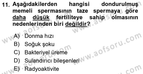 Doğum Bilgisi ve Suni Tohumlama Dersi 2021 - 2022 Yılı (Vize) Ara Sınav Soruları 11. Soru