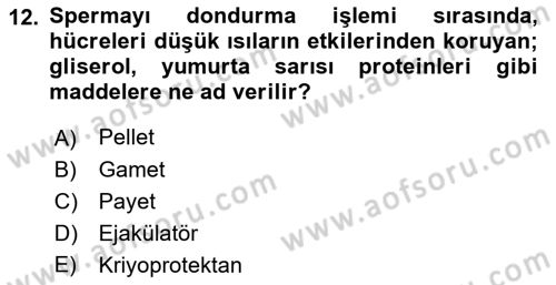Doğum Bilgisi ve Suni Tohumlama Dersi 2021 - 2022 Yılı (Vize) Ara Sınav Soruları 12. Soru