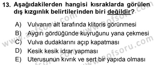 Doğum Bilgisi ve Suni Tohumlama Dersi 2021 - 2022 Yılı (Vize) Ara Sınav Soruları 13. Soru
