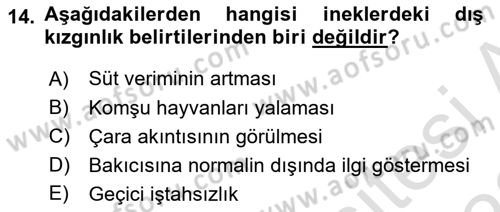 Doğum Bilgisi ve Suni Tohumlama Dersi 2021 - 2022 Yılı (Vize) Ara Sınav Soruları 14. Soru