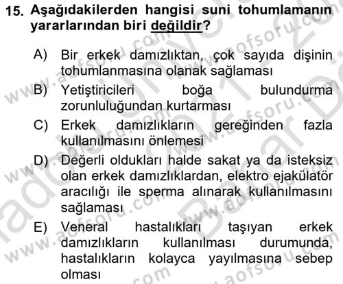 Doğum Bilgisi ve Suni Tohumlama Dersi 2021 - 2022 Yılı (Vize) Ara Sınav Soruları 15. Soru