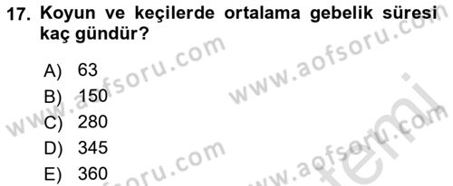 Doğum Bilgisi ve Suni Tohumlama Dersi 2021 - 2022 Yılı (Vize) Ara Sınav Soruları 17. Soru