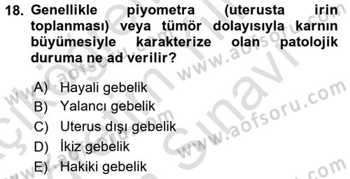 Doğum Bilgisi ve Suni Tohumlama Dersi 2021 - 2022 Yılı (Vize) Ara Sınav Soruları 18. Soru