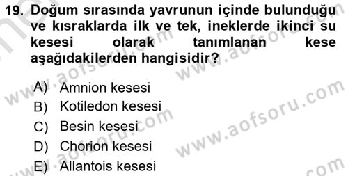 Doğum Bilgisi ve Suni Tohumlama Dersi 2021 - 2022 Yılı (Vize) Ara Sınav Soruları 19. Soru