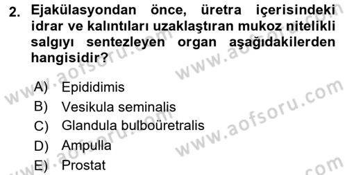 Doğum Bilgisi ve Suni Tohumlama Dersi 2021 - 2022 Yılı (Vize) Ara Sınav Soruları 2. Soru