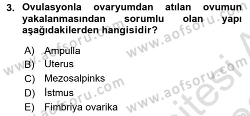 Doğum Bilgisi ve Suni Tohumlama Dersi 2021 - 2022 Yılı (Vize) Ara Sınav Soruları 3. Soru