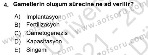 Doğum Bilgisi ve Suni Tohumlama Dersi 2021 - 2022 Yılı (Vize) Ara Sınav Soruları 4. Soru
