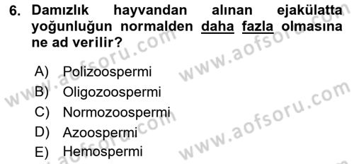 Doğum Bilgisi ve Suni Tohumlama Dersi 2021 - 2022 Yılı (Vize) Ara Sınav Soruları 6. Soru