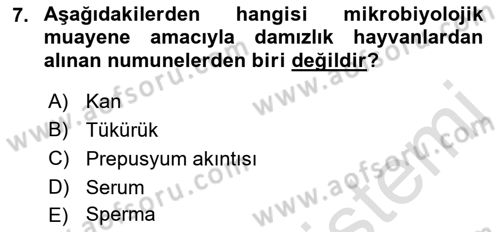 Doğum Bilgisi ve Suni Tohumlama Dersi 2021 - 2022 Yılı (Vize) Ara Sınav Soruları 7. Soru