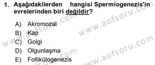 Doğum Bilgisi ve Suni Tohumlama Dersi 2021 - 2022 Yılı (Final) Dönem Sonu Sınavı 1. Soru