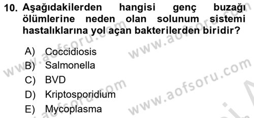 Doğum Bilgisi ve Suni Tohumlama Dersi 2021 - 2022 Yılı (Final) Dönem Sonu Sınav Soruları 10. Soru
