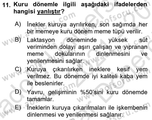 Doğum Bilgisi ve Suni Tohumlama Dersi 2021 - 2022 Yılı (Final) Dönem Sonu Sınav Soruları 11. Soru
