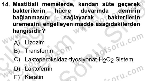 Doğum Bilgisi ve Suni Tohumlama Dersi 2021 - 2022 Yılı (Final) Dönem Sonu Sınav Soruları 14. Soru