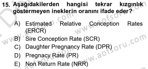 Doğum Bilgisi ve Suni Tohumlama Dersi 2021 - 2022 Yılı (Final) Dönem Sonu Sınav Soruları 15. Soru