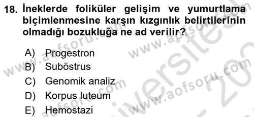 Doğum Bilgisi ve Suni Tohumlama Dersi 2021 - 2022 Yılı (Final) Dönem Sonu Sınav Soruları 18. Soru