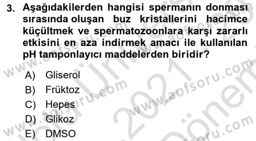 Doğum Bilgisi ve Suni Tohumlama Dersi 2021 - 2022 Yılı (Final) Dönem Sonu Sınav Soruları 3. Soru