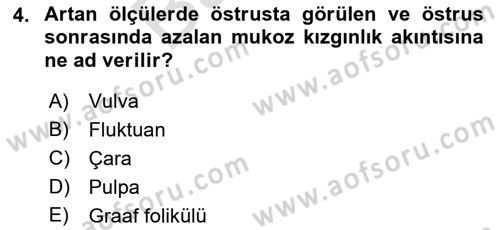 Doğum Bilgisi ve Suni Tohumlama Dersi 2021 - 2022 Yılı (Final) Dönem Sonu Sınav Soruları 4. Soru