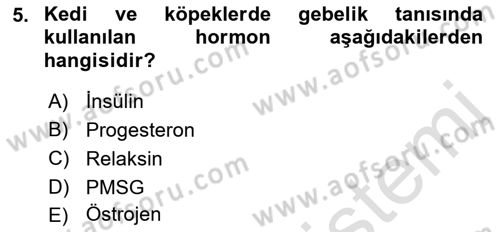 Doğum Bilgisi ve Suni Tohumlama Dersi 2021 - 2022 Yılı (Final) Dönem Sonu Sınavı 5. Soru