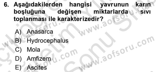 Doğum Bilgisi ve Suni Tohumlama Dersi 2021 - 2022 Yılı (Final) Dönem Sonu Sınav Soruları 6. Soru