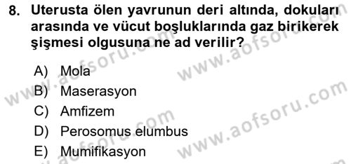 Doğum Bilgisi ve Suni Tohumlama Dersi 2021 - 2022 Yılı (Final) Dönem Sonu Sınav Soruları 8. Soru